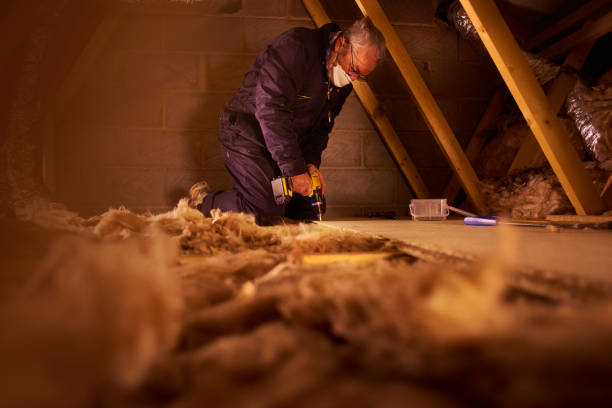 Best Crawl Space Insulation  in Walsenburg, CO